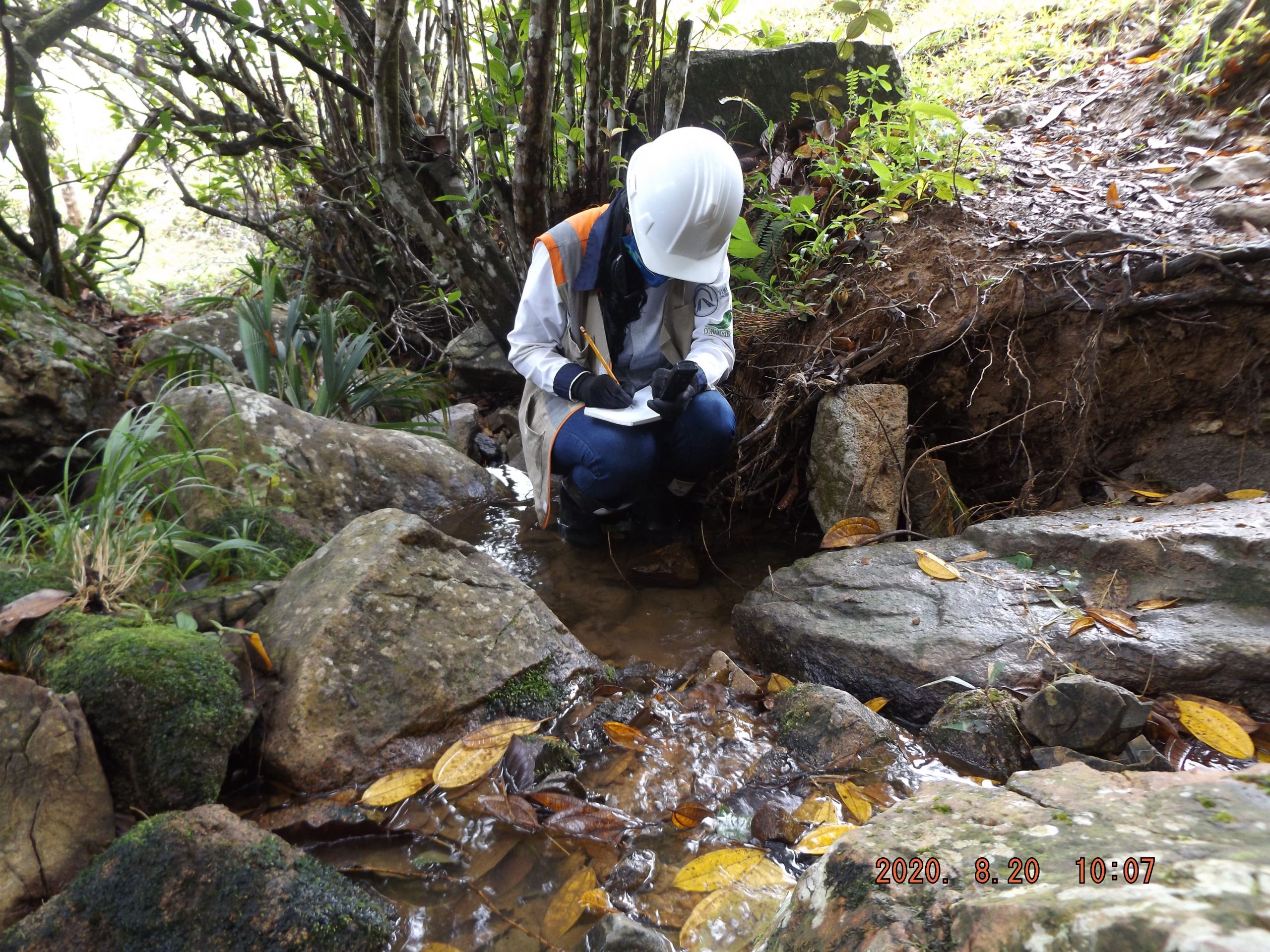 Regitro de parámetros fisicoquiímicos en área de liberación de fauna