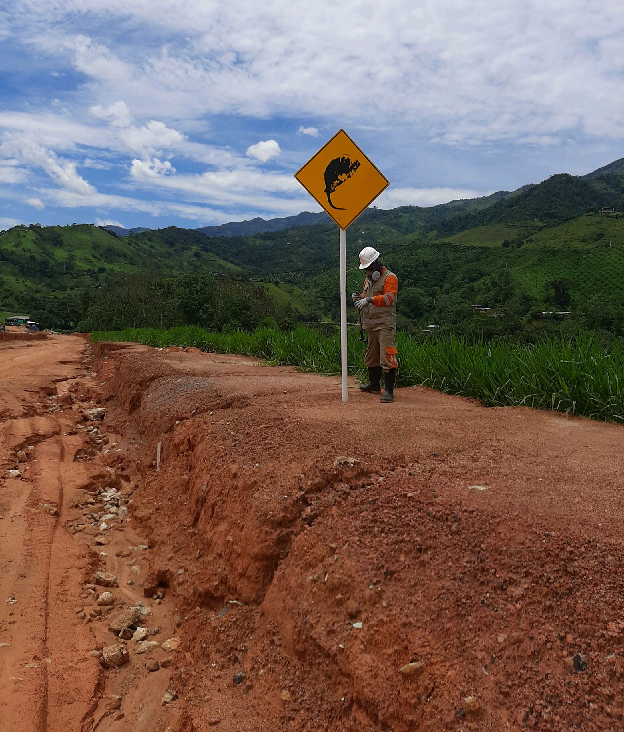 Señalización cruce de fauna
