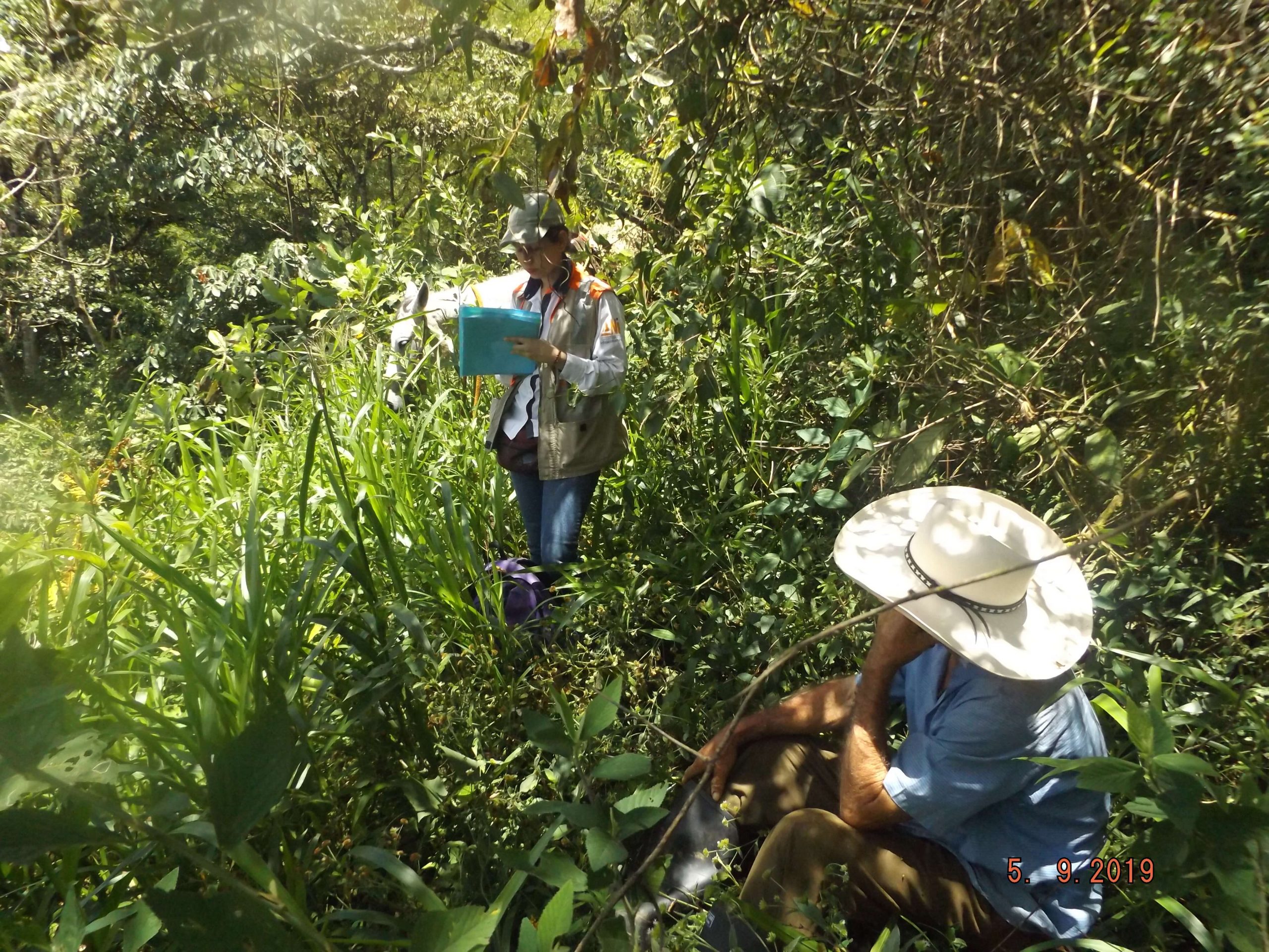 Concertación propietario