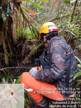 Imagen16